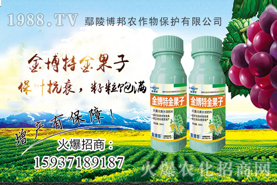 花生早衰減產(chǎn)嚴(yán)重該咋辦?花生早衰原因,種植戶如何避免?