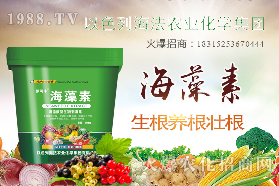 海法農(nóng)業(yè)為啥這么牛?海法農(nóng)業(yè)生產(chǎn)特色是什么?主打哪些產(chǎn)品?