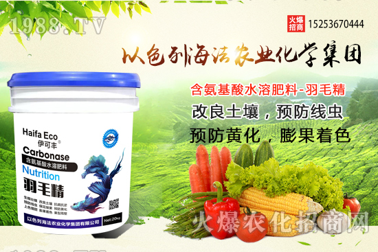 海法農(nóng)業(yè)為啥這么牛?海法農(nóng)業(yè)生產(chǎn)特色是什么?主打哪些產(chǎn)品?