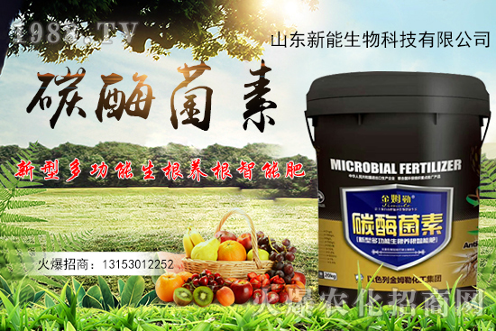 һ�ʶ������ЙC(j��)̼+����ø+�����+�I(y��ng)�B(y��ng)Ԫ����̼ø������ʲô������