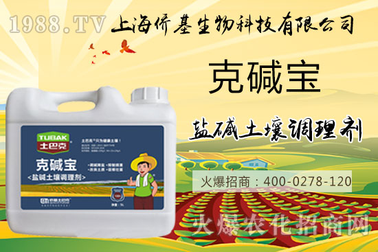 �����}�AΣ���������ˉA���������}�A��߀��һƬ������