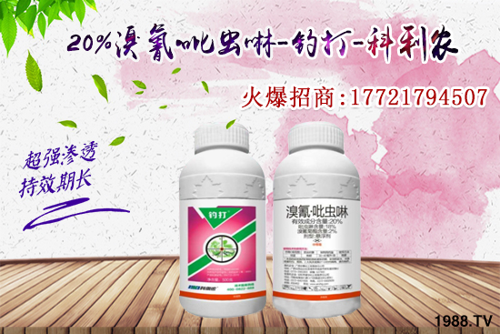 �������x���l(f��)̫���������x��ô��Ч���ã����x���η�������Щ��