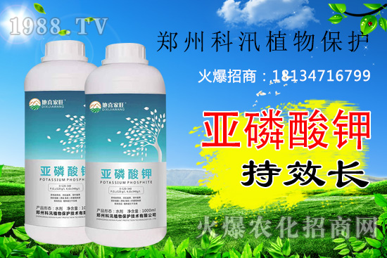 ������⛹�Ч�������C������Щ������������õĺ���᣿