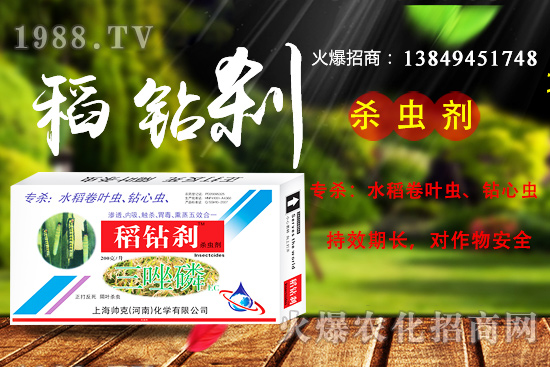 �Ϻ�������ô�����aƷ��(y��u)����ʲô�������x���aƷ����Щ��