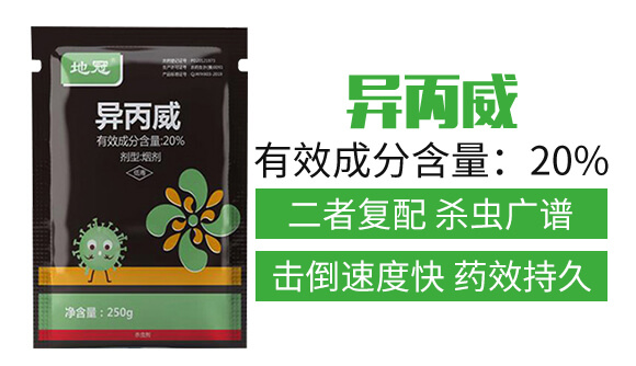 20%������-���A����_02