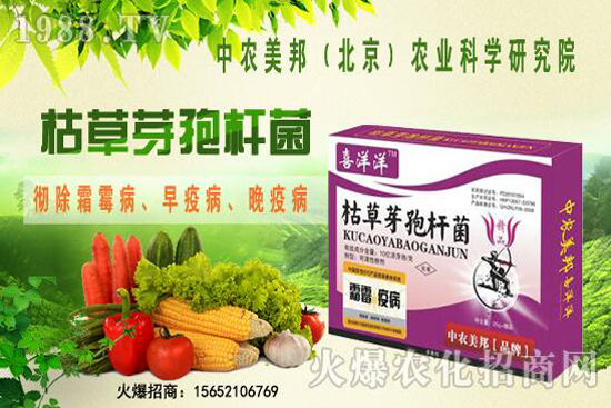 �ݲ�ѿ�ߗU���θ���������������Щ�������������Ό�������Щ��