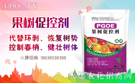 果樹(shù)巧用多效唑!效果翻倍沒(méi)問(wèn)題!多效唑的作用與使用方法!