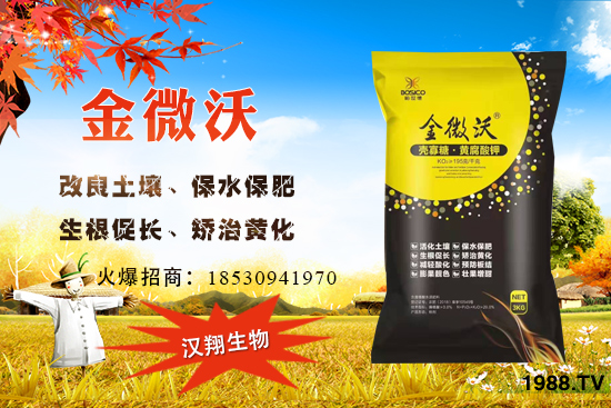 ����ͥԺ���ԷN���ц�������ʲô�r(sh��)��N����ô�Nֲ��