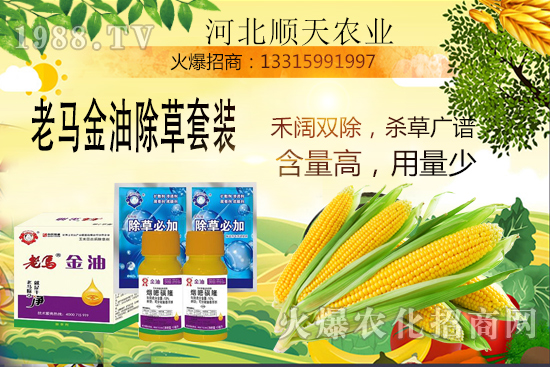 ����������������Ч�������׳����P(gu��n)�I�c��R����