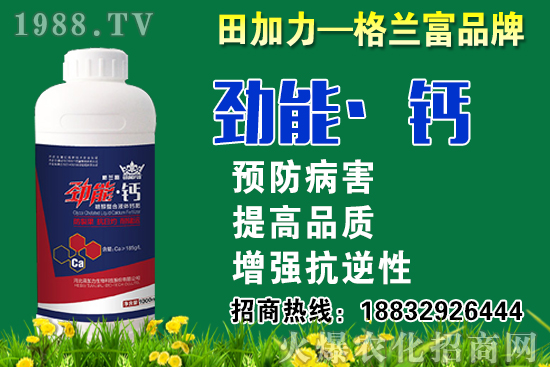 2020���}��ʲô�r(sh��)��N�����}���NֲҪע����Щ��(w��n)�}��