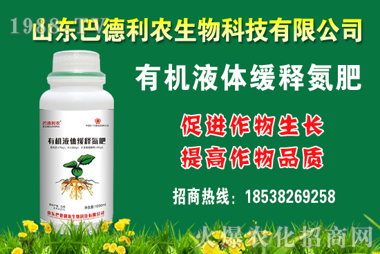 板栗多少錢一斤?種植前景如何?栗種植成本及利潤分析!