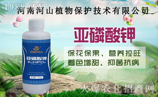 С�����߼Ӵa�������u�Z��2020��8��14��С���r��������