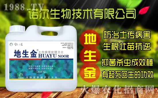 �S���˷N����ô�ɼ����S���˷N��r������Xһ����