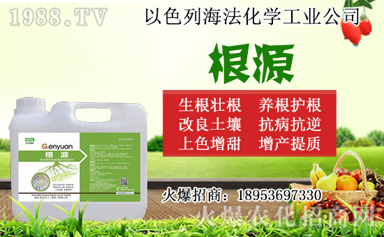 無花果怎么扦插?無花果扦插時間及扦插繁殖方法!