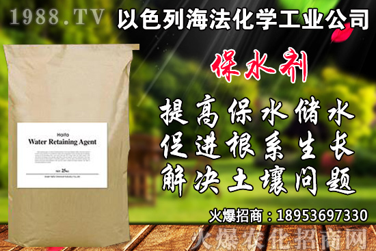 �۲���ηNֲ��Ʒ�N����x�����۲˲��N�r�g���Nֲ���g(sh��)��