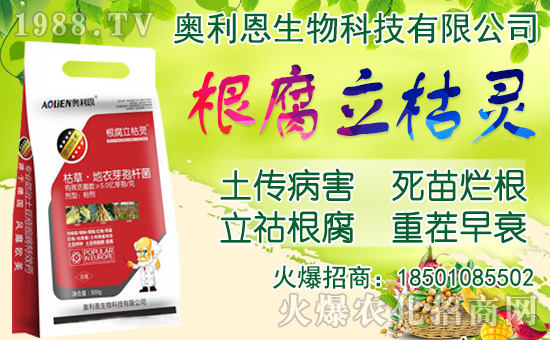 ���[���ʩ�������[�Nֲ���������N�r(sh��)�g��