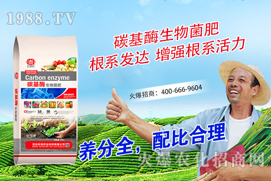 山竹如何繁殖？山竹種植條件及技術(shù)要點(diǎn)！