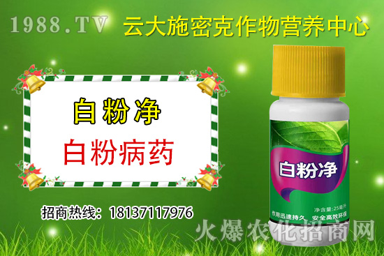 ʲô��ֲ��Դ�r(n��ng)ˎ��ֲ��Դ�r(n��ng)ˎ�c���W(xu��)�r(n��ng)ˎ�^(q��)�e������