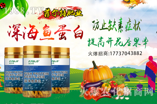 青梗菜種植時間,青梗菜栽培及管理關(guān)鍵要點(diǎn)!