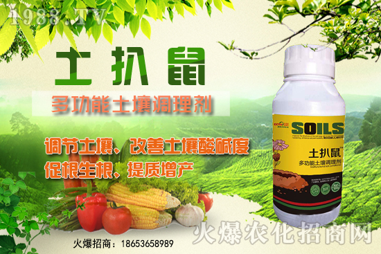 ������ʲô�r(sh��)��Nֲ����������ô�x���Nֲ�����ô����