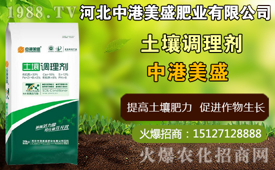 中藥太子參什么時間種植,太子參什么時候收獲更好(附種植技術(shù))