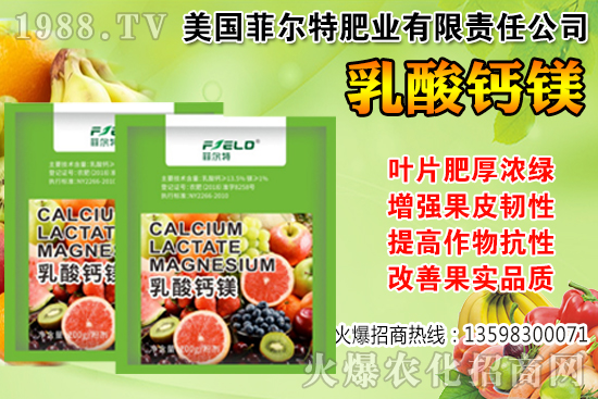 ���Ѳ��պ���α��r�����Ѳ��պ���@ע�������