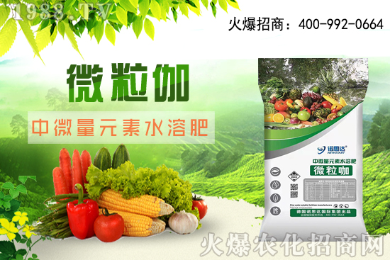 ����ԓ��ô��������������r�g������ע��Ҫ�c��