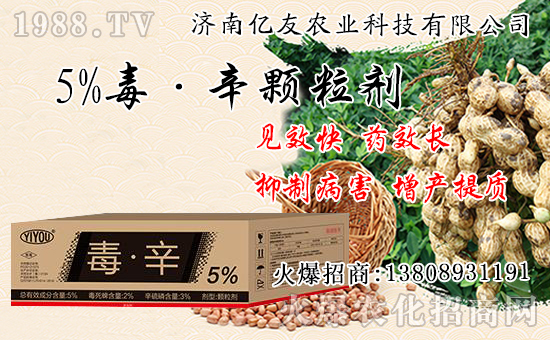 �������Ժʹ�����ʲô��ͬ���������԰˴��P(gu��n)�IҪ�c��