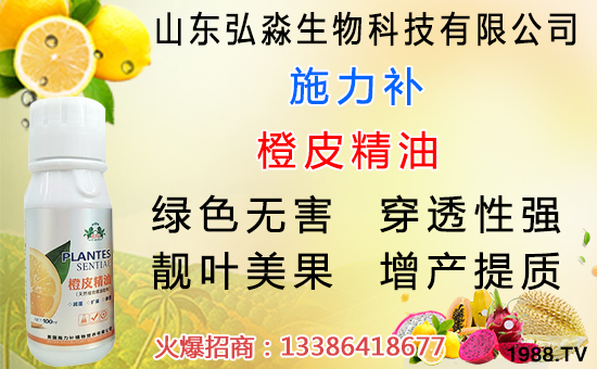 水蜜桃是硬的好還是軟的好?水蜜桃挑選方法及儲存竅門!