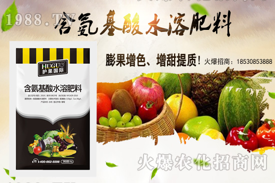 蕓豆適合在什么季節(jié)栽培？蕓豆如何進(jìn)行種植？