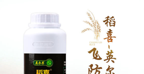 �w������-��ϲ-Ӣ����_01