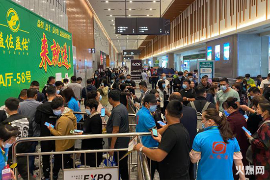 �|��ֲ�����r(n��ng)�Y���p����