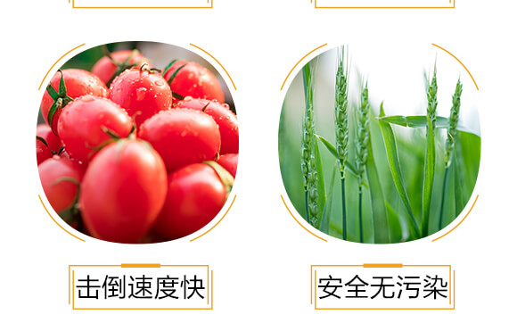 500ml進口專用殺螨助劑-斑狄-科利農(nóng)_06