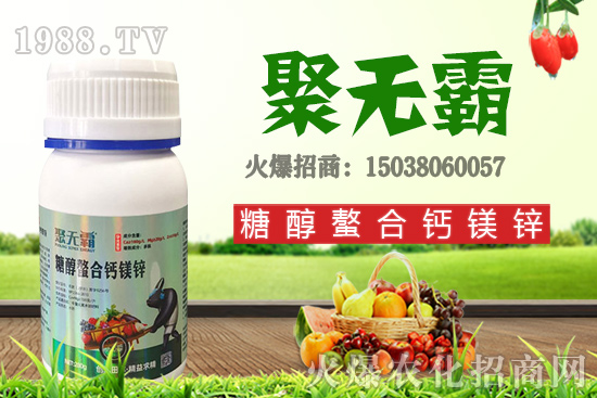 沙糖桔苗多少錢一棵?沙糖桔什么時候結(jié)果?栽培要點(diǎn)有哪些?