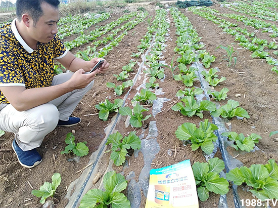 水溶肥市場大變革!?海藻精、魚蛋白將被它代替!1000多用戶鼎力推薦!