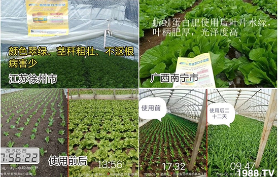 水溶肥市場大變革。亢T寰、魚蛋白將被它代替!1000多用戶鼎力推薦!