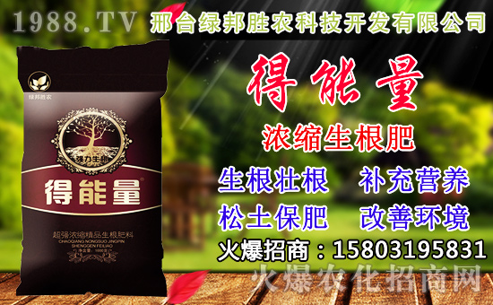 2020年小麥種子如何選？高產(chǎn)小麥品種有哪些？