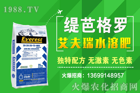 С���r��q����ʮ��С�������A�y��