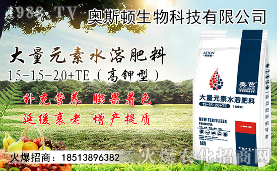 С���r���������ϝq��������������С���r��