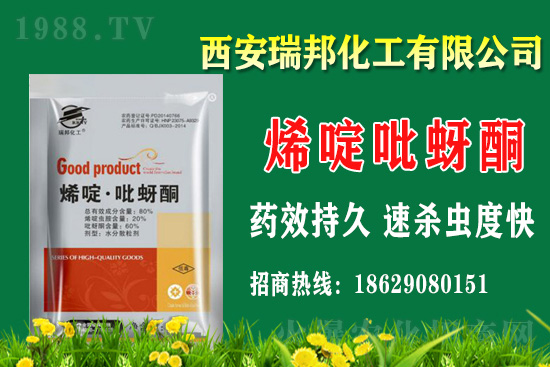 ����嚢�x(ch��ng)���r(ji��)��2021��1��16��