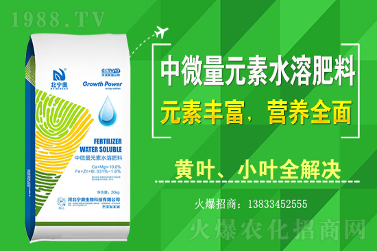 �S����ԓ��ô�Nֲ���S���˷Nֲ�^(gu��)����ע����Щ��(w��n)�}��