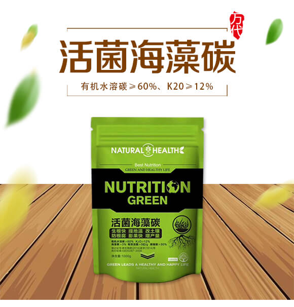 �������̼-�f������_01