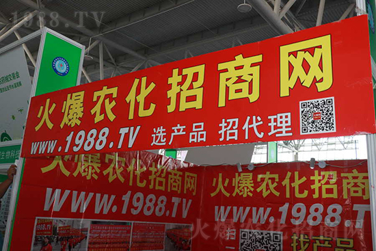 ��s������2021ɽ�|ֲ����(hu��)���𱬾W(w��ng)��������ʢ�e��