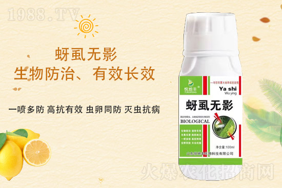 ɽ�|�����S�m(x��)�s1988.TV�����\�����°l(f��)չ