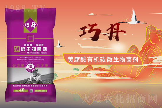 �����P(gu��n)ϵ�����A��ɽ�|�f��ȵ��m(x��)�s1988.TV��