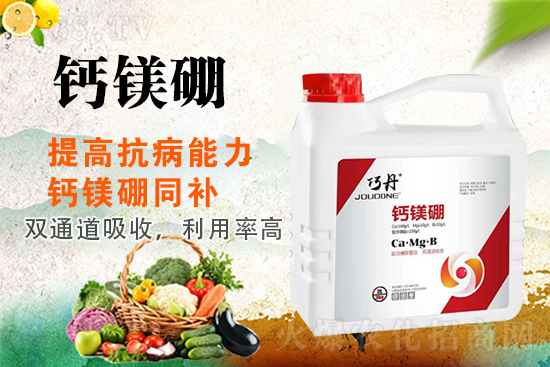 �����P(gu��n)ϵ�����A��ɽ�|�f��ȵ��m(x��)�s1988.TV��