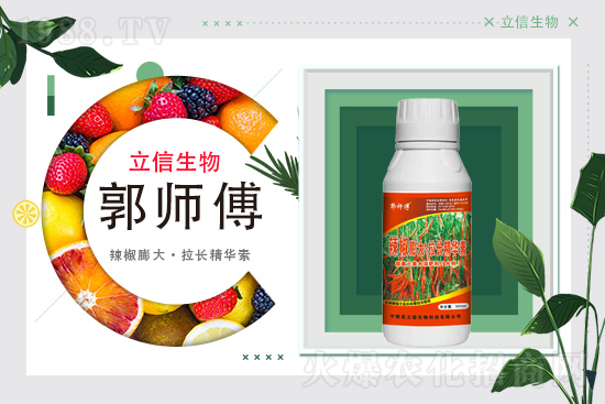 ���������m(x��)�s1988.TV���y�ֹ���(chu��ng)���x����