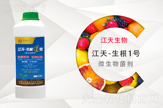 ⛷ʶ����Xһ����11��11�ո���⛷ʃr������