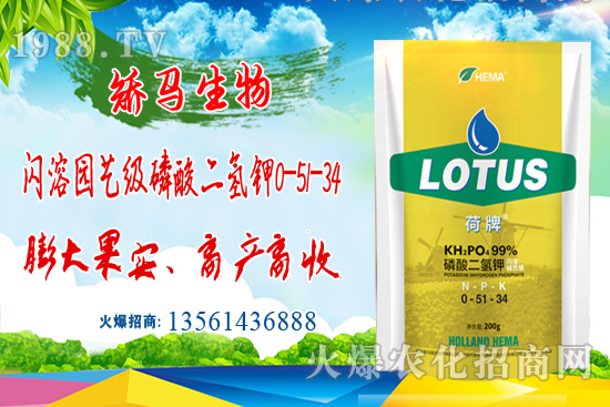 ⛷ʃr���ů��11��15��⛷ʃr������