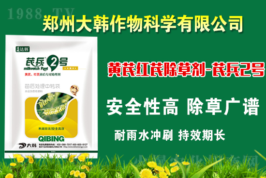 �α�2̖¡�����У�����������ɳ��{�˵��S�γ��݄������ݸ��V����ȫ����